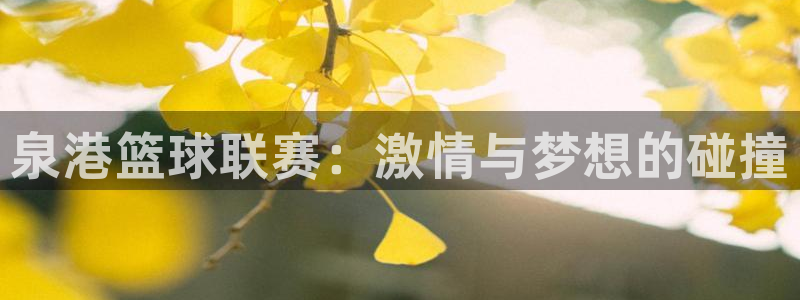 意昂4代理