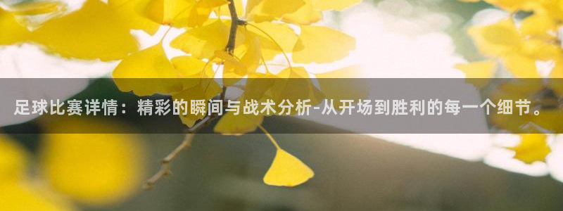 意昂4招商：足球比赛详情：精彩的瞬间与战术分析-从开场到胜利