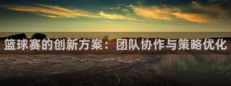 意昂4体育：篮球赛的创新方案：团队协作与策略优化