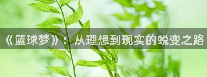 意昂4登陆
