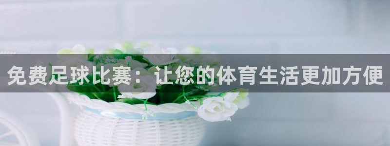 意昂4主管：免费足球比赛：让您的体育生活更加方便