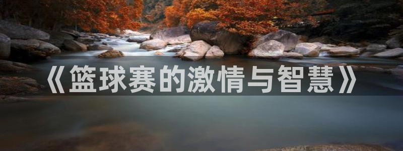 意昂4注册地址：《篮球赛的激情与智慧》